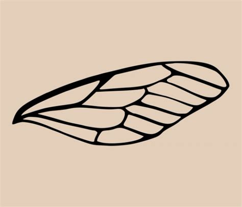 Dragonfly Wing Tattoo Design - Ephemeral Tattoo