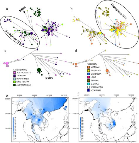 Diversity and distribution of major subhaplogroups of haplogroup M... | Download Scientific Diagram