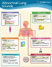 Abnormal Lung Sounds: Wheezes, Stridor, Crackles, Rhonchi - | Course Hero