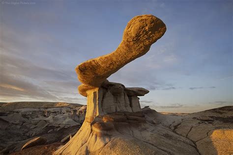 King of Wings, Ah-Shi-Sle-Pah Wilderness, New Mexico