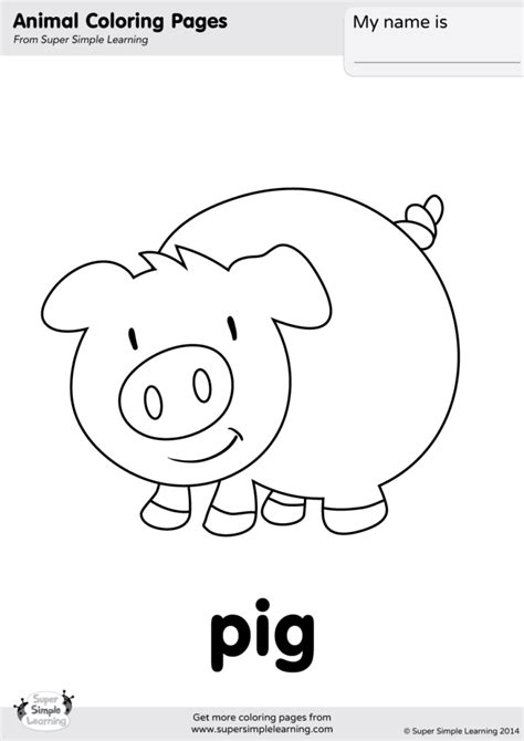 Pig Coloring Page - Super Simple