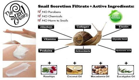 7 best images about Snail Benefits on Pinterest | Beats, Scars. and ...