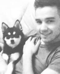 Loki*dog Liam Payne* on Twitter: "http://t.co/ZsoqrREWZA" / Twitter