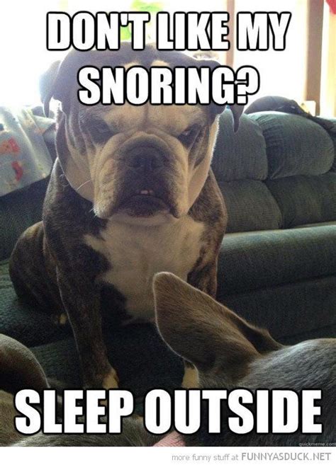 Funny Snoring Quotes - ShortQuotes.cc