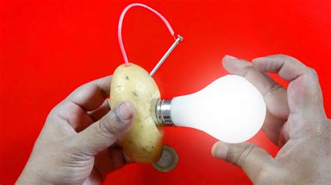 How To Make A Light Bulb Turn On With Potato | Homeminimalisite.com