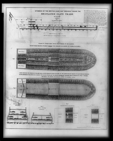 Slave Ship Brookes - Legal Layout of Slave Stowage