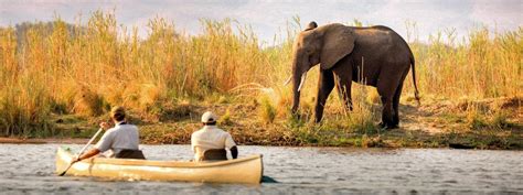 Lower Zambezi National Park Lodges | Zambia Lodges Lower Zambezi