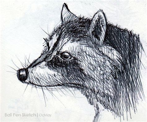 Ball pen sketch animal by OCMay on deviantART | Pen sketch, Ink pen drawings, Sketches