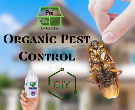 What are some best organic pest control methods?