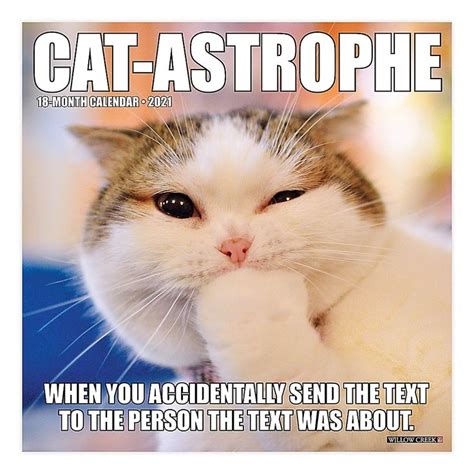 Catastrophe 2021 18-Month Wall Calendar | Bed Bath & Beyond | Animal ...