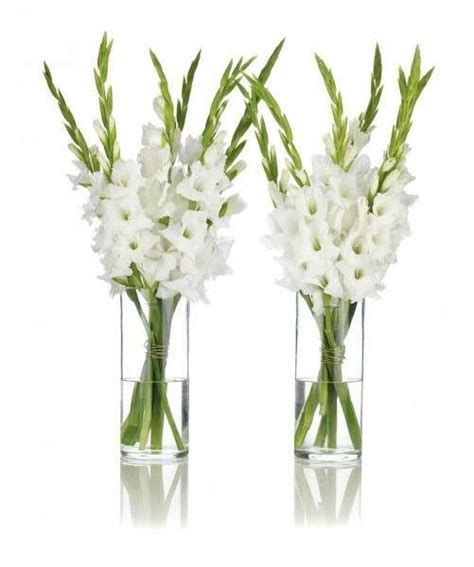 Lirios hermosos | Gladiolus flower, Flower arrangements, Corporate flowers