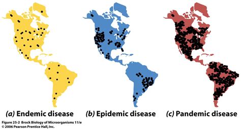 This photo shows the difference between Endemics, Epidemics, and ...