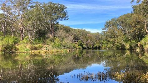 Hiking in Lane Cove National Park | Sydney Uncovered