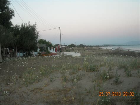 Kavouri Beach Photo from Kavouri in Ilia | Greece.com