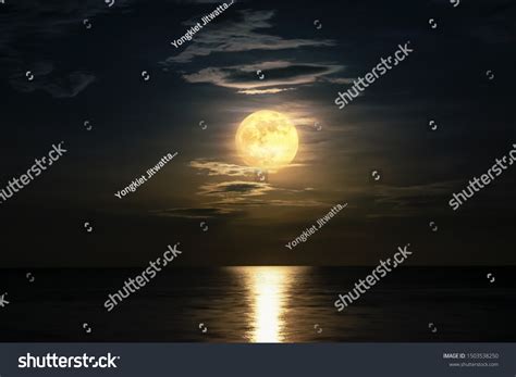 192,901 Moonlight Dark Moon Images, Stock Photos & Vectors | Shutterstock