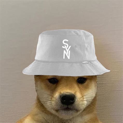 Dog With Hat Profile Picture - splashstory