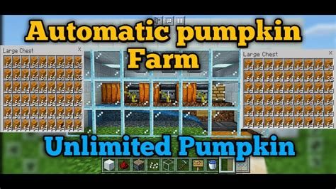 How To Make Automatic Pumpkin Farm In Minecraft Bedrock Edition!! - YouTube