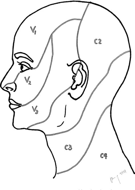 Table 1 from Use of the keystone island flap for advanced head and neck ...