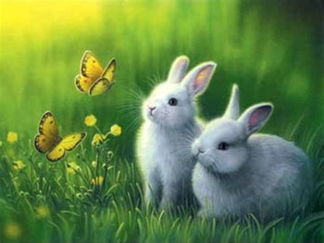 Cool Rabbit Wallpapers - Top Free Cool Rabbit Backgrounds - WallpaperAccess