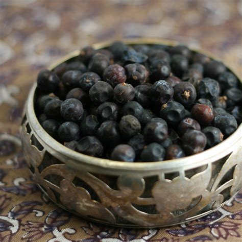 Juniper Berries - The Silk Road Spice Merchant