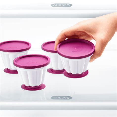 Metaltex Plastic Set 4 Creme Caramel Molds Pink White | Jomla.ae