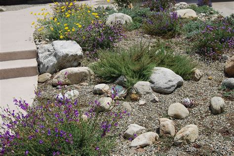 Most Amazing Landscaping Ideas Drought Tolerant CN14l2 | Drought resistant landscaping, Drought ...