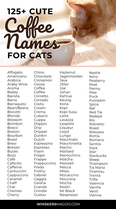 125+ Coffee-Inspired Names For Cats - Whiskers Magoo | Kitten names ...