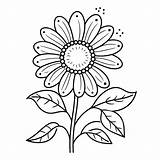 Daisy Black And White Coloring sketch template