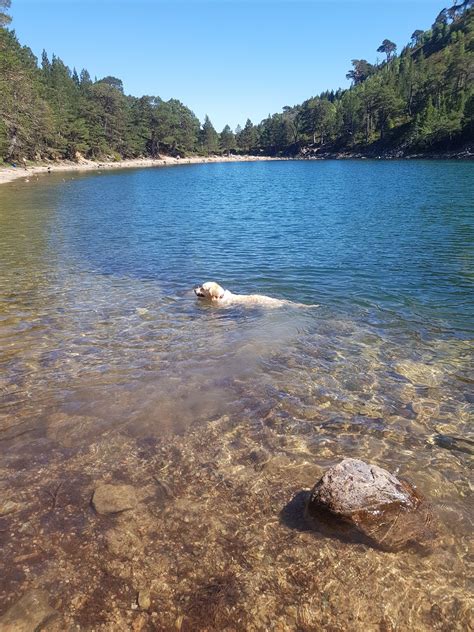 Lochan Uaine Scotland + a dog | Scotland places to visit, Best of ...