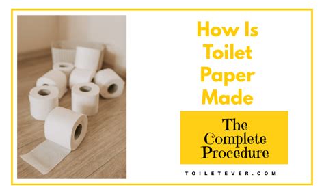 How Is Toilet Paper Made: The Complete Procedure - Toiletever