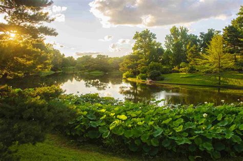 Top Things to Do at the Missouri Botanical Garden