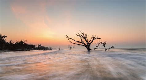 Coastal Insight – Edisto Island