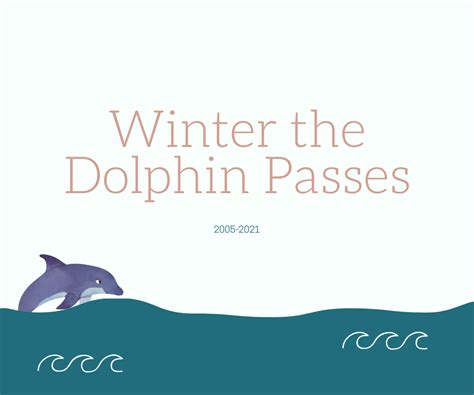 Winter the dolphin dies - PHS News