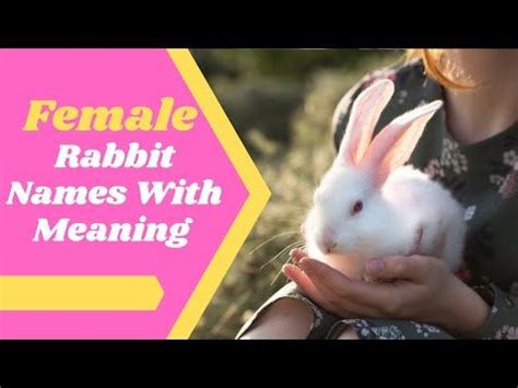 a woman holding a rabbit in her hands with the words female rabbit names with meaning