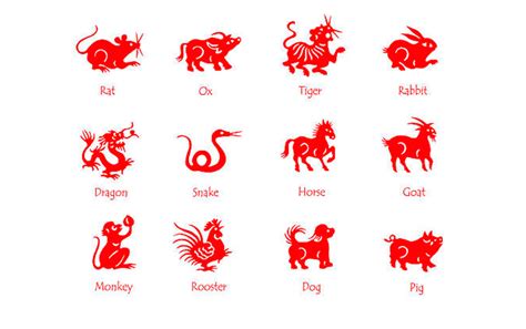 Animales chinos del zodiaco y su significado con Shanghai Mama