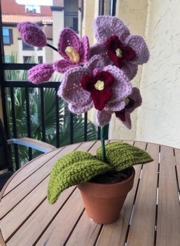 Crochet Orchid : r/crochet