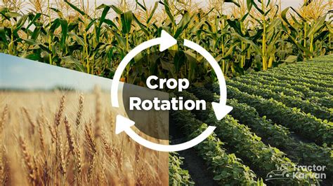 What is Crop Rotation, Benefits and Crops Used