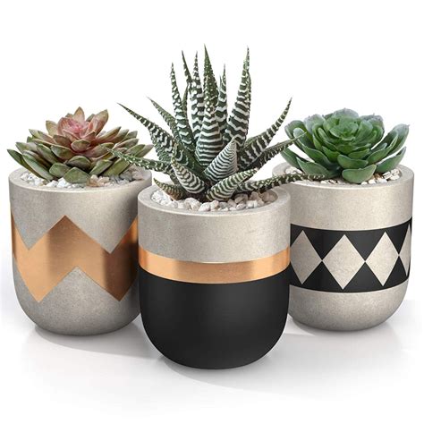 3 inch Small Succulent Pots with Drainage - Set of 3 Concrete Planter Pots for Succulent Plants ...