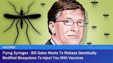 Bill Gates Wants to Release Genetically Modified Mosquitoes to Inject You With Vaccines — Humans ...