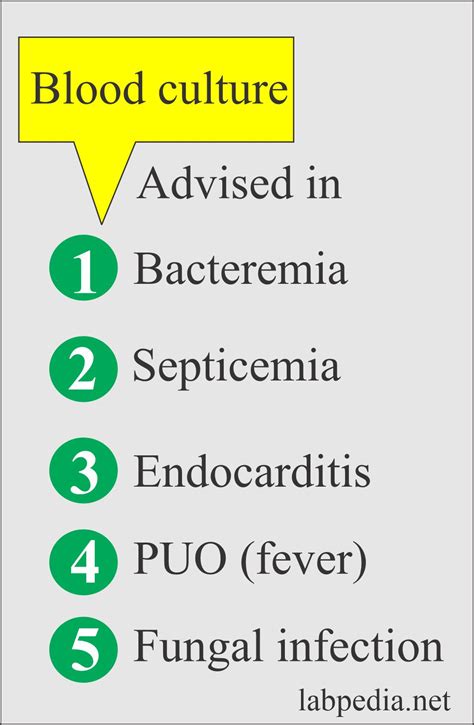 Blood Culture, its Procedure and Interpretations - Labpedia.net