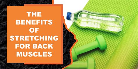 The Benefits of Stretching for Back Muscles | MAGMA Fitness