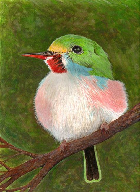 The Cuban Tody bird Painting by James Richards - Fine Art America