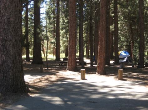 San Bernardino National Forest Serrano Campground, Big Bear Lake, CA - GPS, Campsites, Rates ...