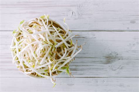 The easiest way to grow bean sprouts indoors | HappySprout