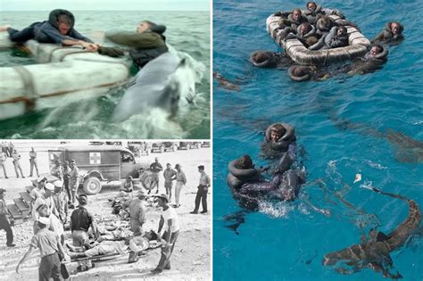 Deadliest shark disasters ever - from 600 mauled to death when US warship sank to Jersey Shore ...