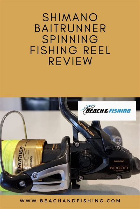 Shimano Baitrunner Spinning Reel Review | Beach and Fishing