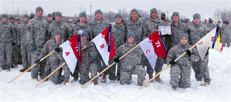 1st Brigade Combat Team units earn marksmanship, physical fitness streamers | Article | The ...