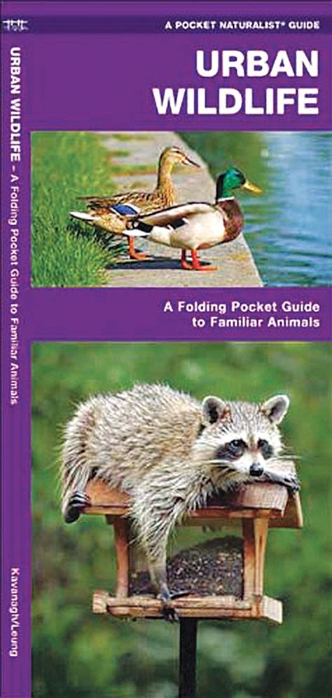 Urban Wildlife (Pocket Naturalist® Guide)