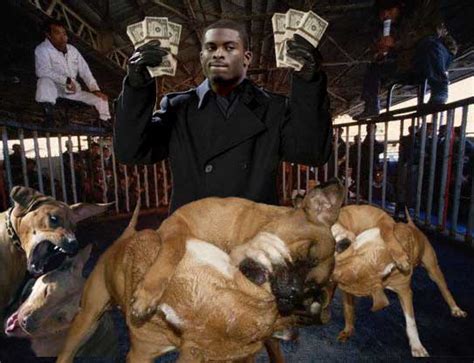 Michael Vick Indicted On Dogfighting Charges