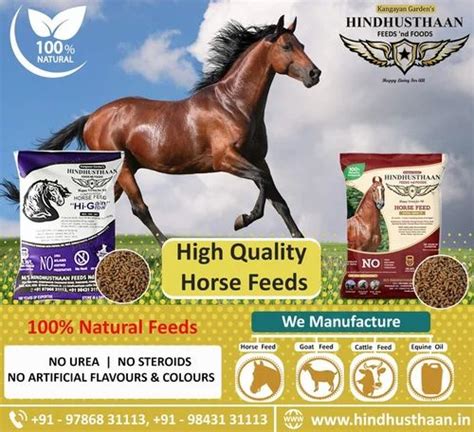 Hindusthaan Horse Feed Pellets, Packaging Type: Pp Bag, Packaging Size ...